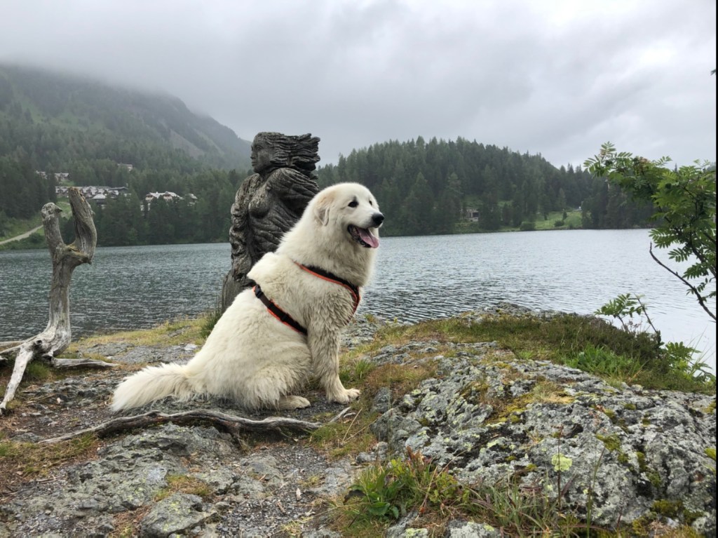 Die Bella am Turracher See
