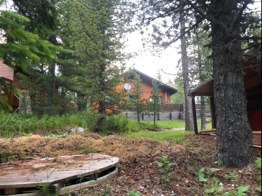 Unser Ferienhaus „Alpenröslein“