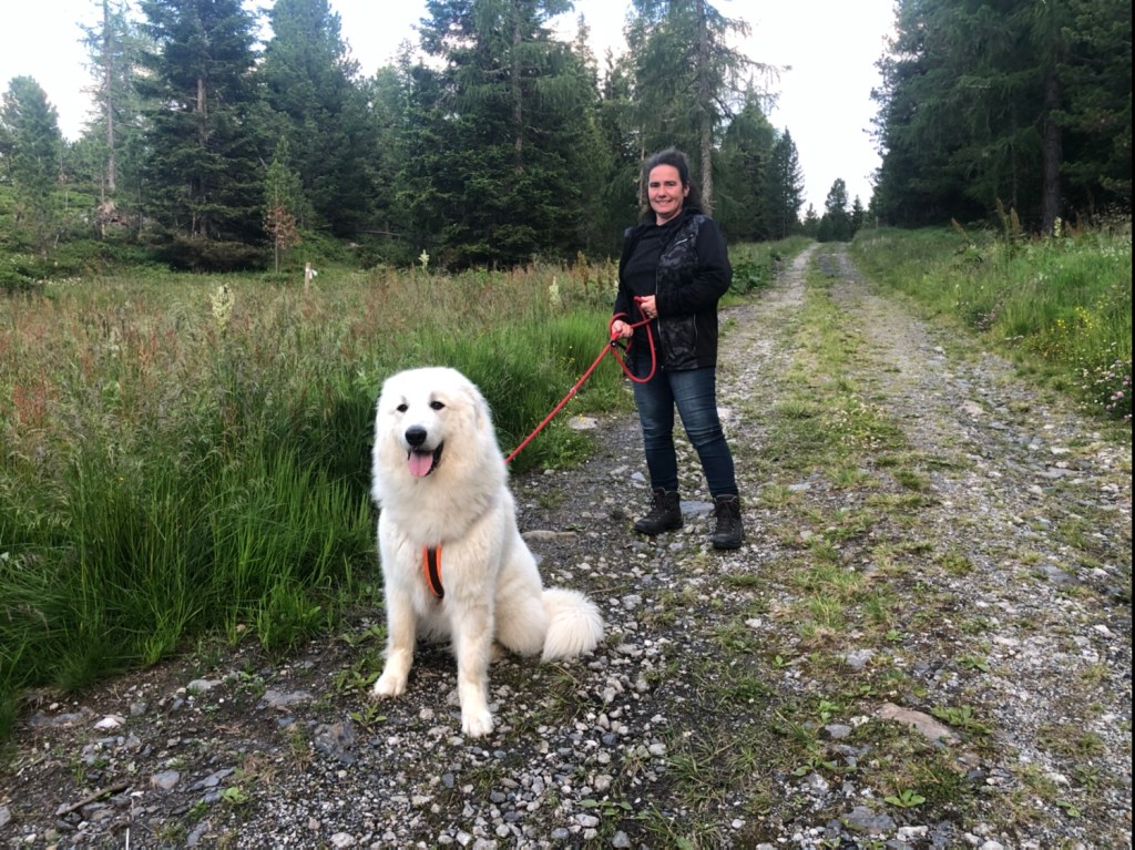 Beim Abendspaziergang mit großer Menschin …