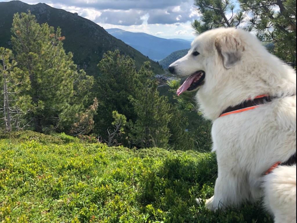 Die Pyri auf dem Gipfel