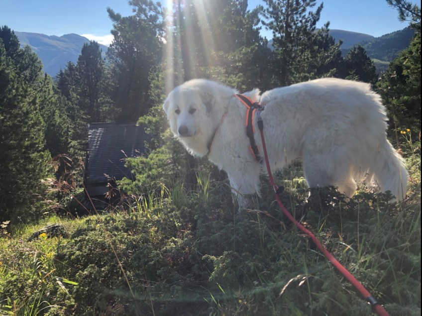 Morgenspaziergang