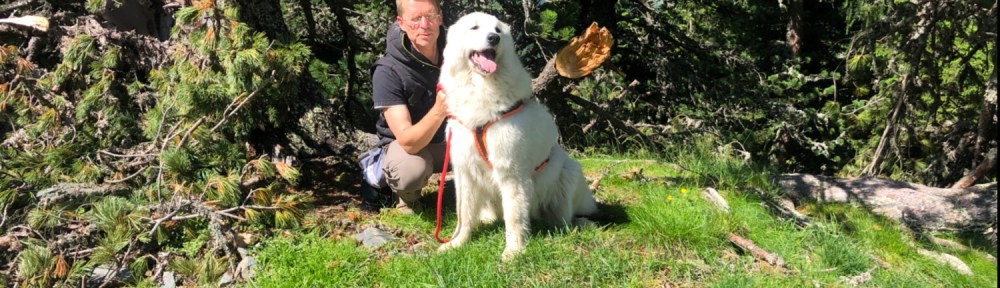 Mein großer Mensch und seine wunderschöne Bella