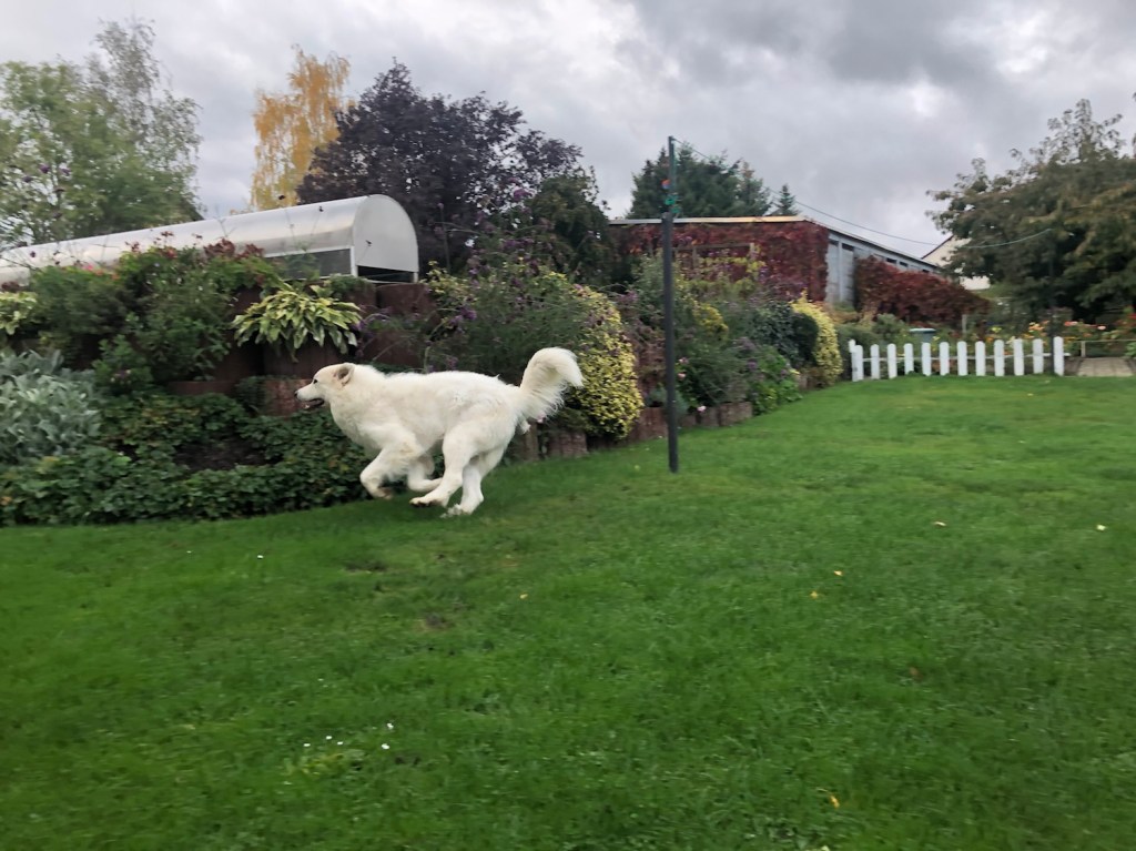 Ich bin total schnell!