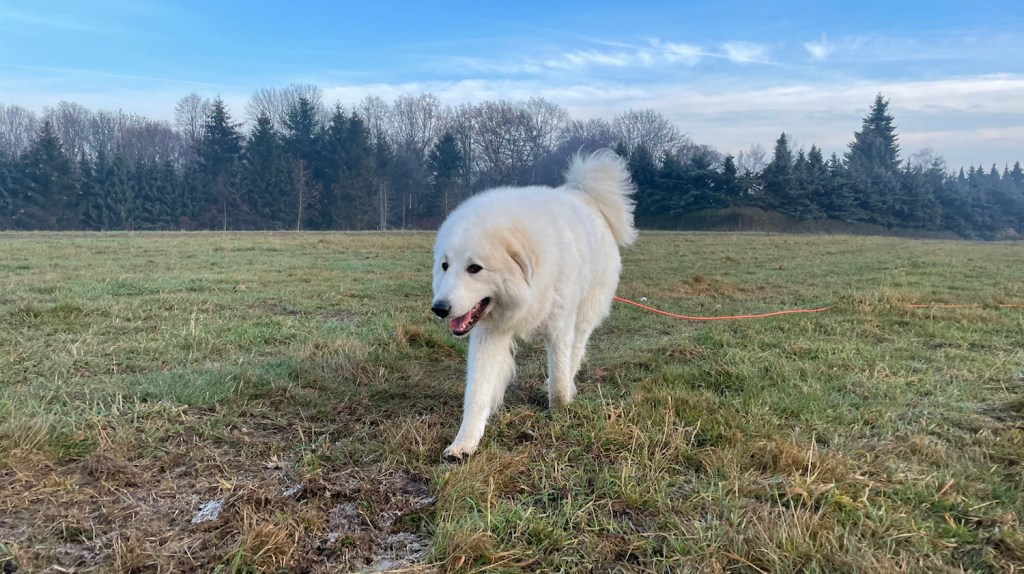 Sonntagsspaziergang! Los geht's!