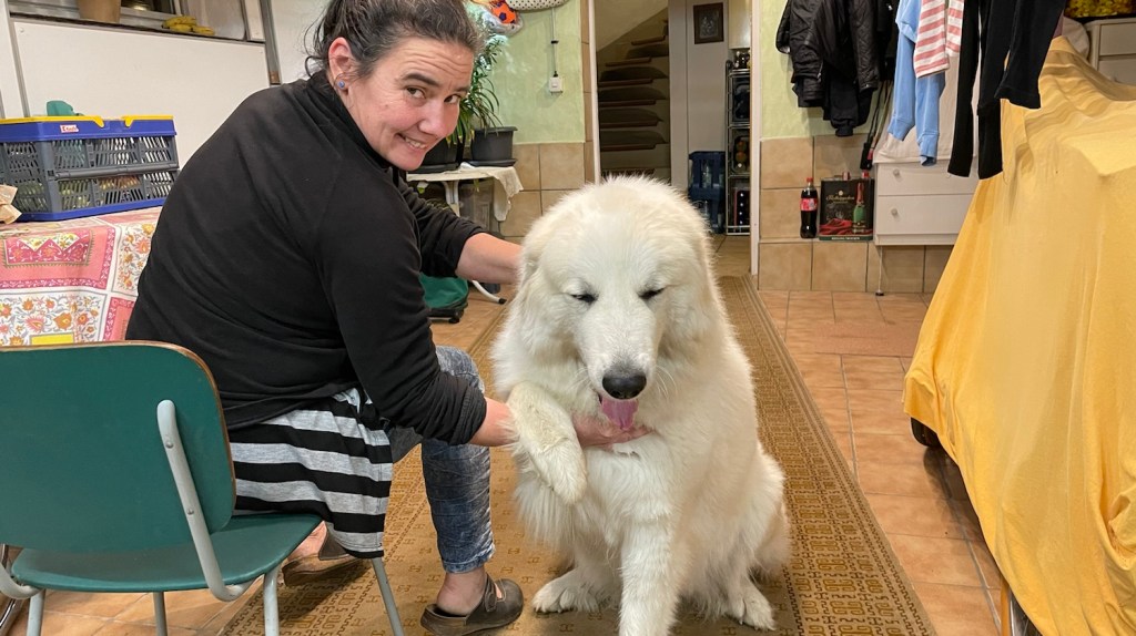 Im Keller mit meiner großen Menschin …