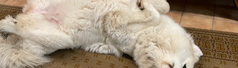 Bitte einmal kuscheln!