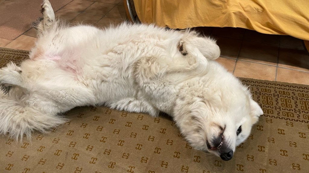 Bitte einmal kuscheln!