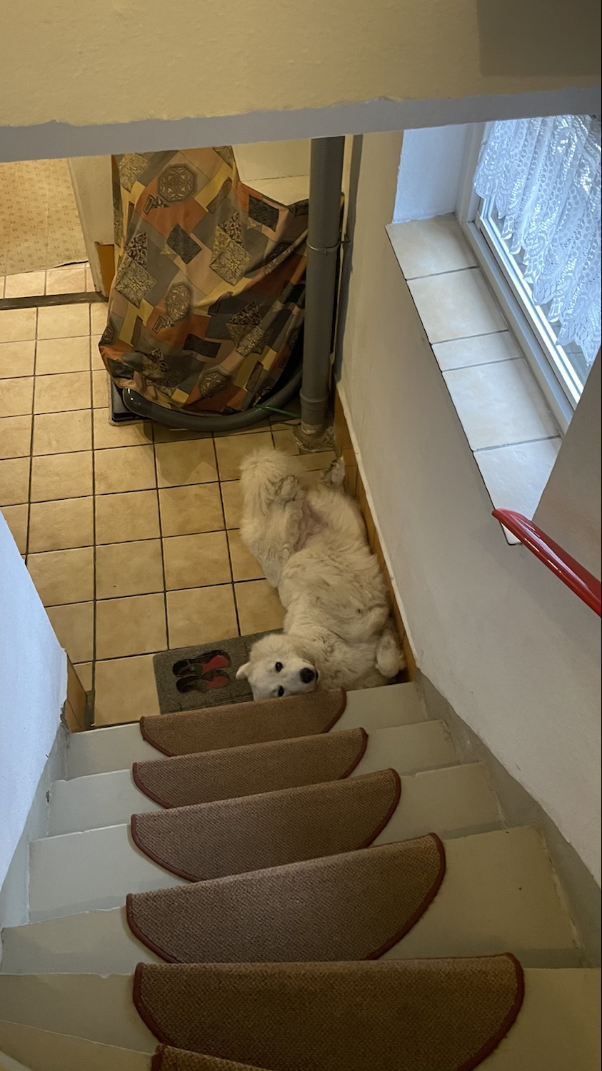 Was guggt ihr da so?