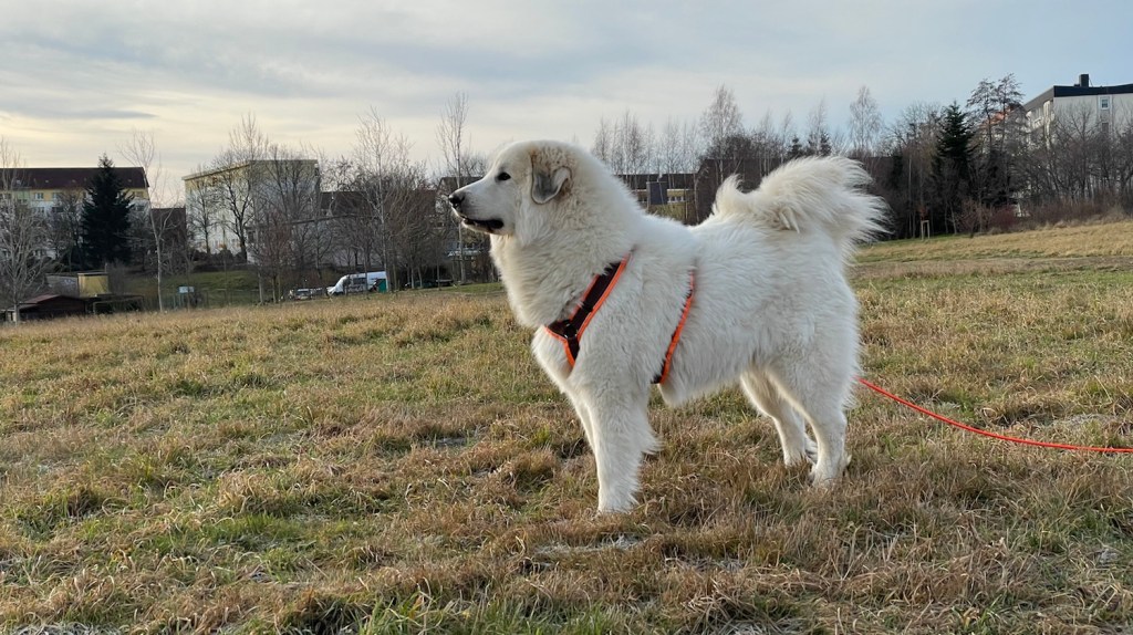 Sonntagsspaziergang