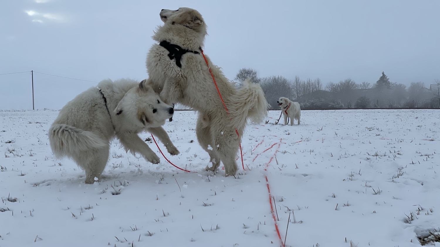 Und nochmal mitohne Menschen im Hintergrund …