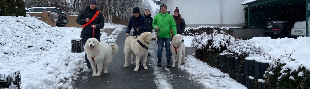 Drei Pyris und ihre Menschen