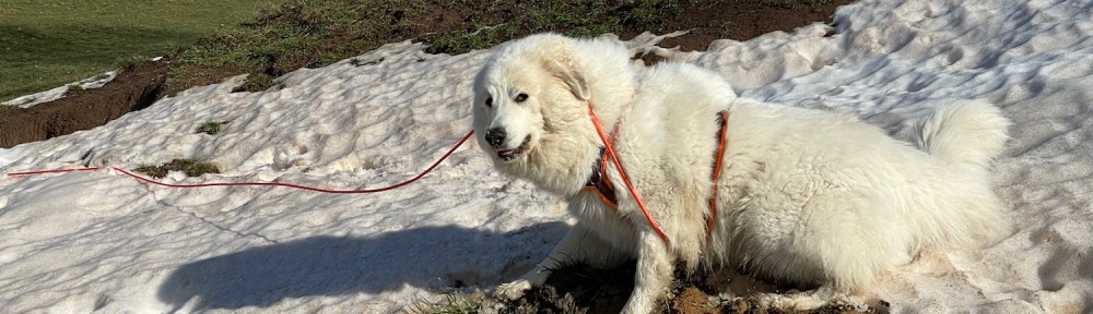 … und weiter geht's!